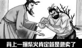 夜夜插在线观看,揭秘激情四溢的深夜直播奇遇