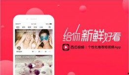 豆花今日最新爆料视频,幕后真相大曝光！